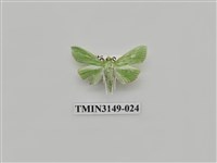 藏品(螟蛾300)的圖片